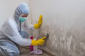 Reliable Merrick, NY Mold Removal & Remediation Solutions